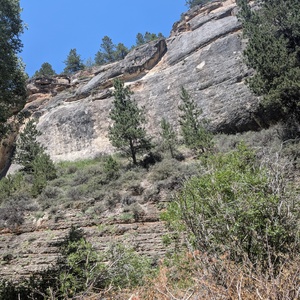 PXL_20260720_181924564.jpg